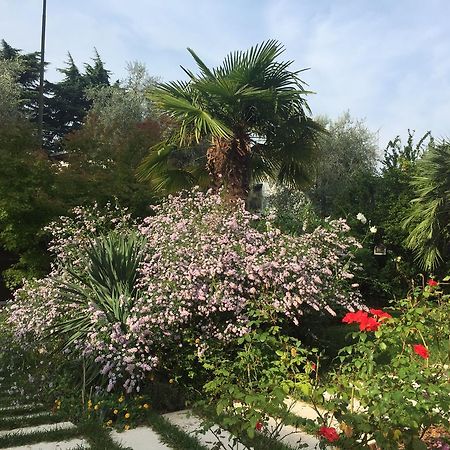 Villa Arzilla Desenzano del Garda Eksteriør bilde
