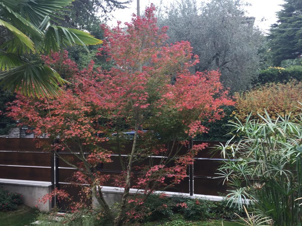 Villa Arzilla Desenzano del Garda Eksteriør bilde
